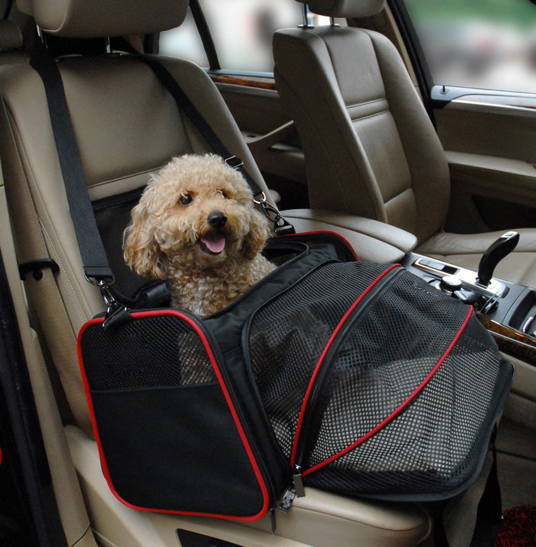 Dog Travel & Walking