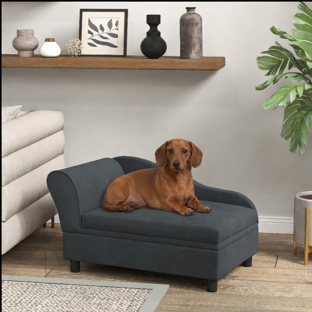 Dog Comfort & Home