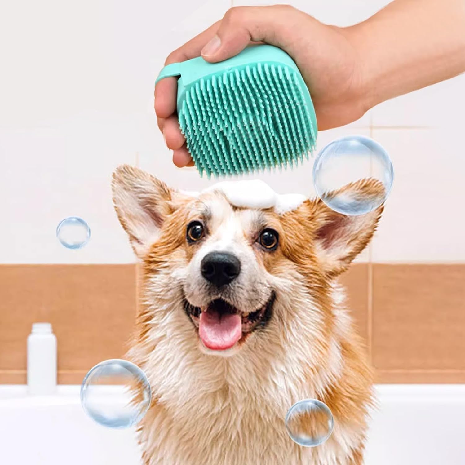 Dog Grooming & Clean-up