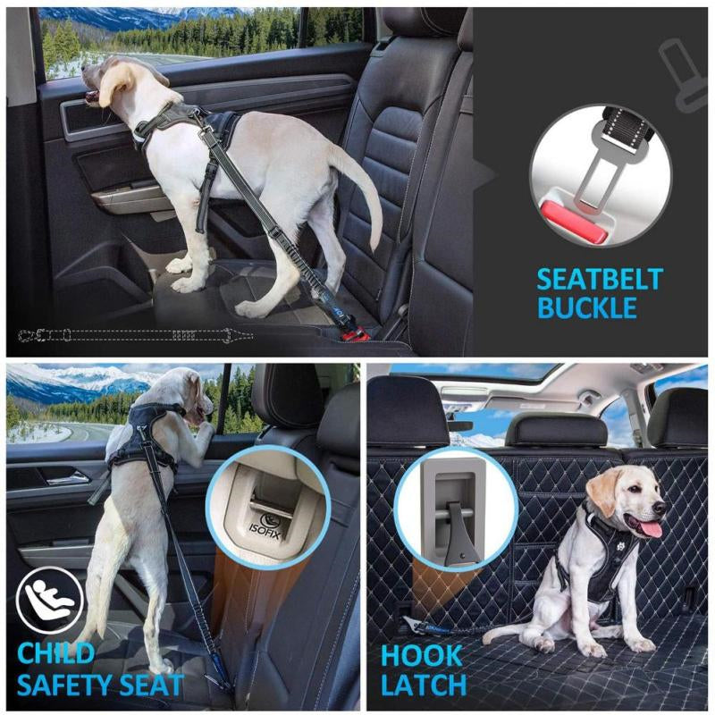 Dog Car Seat Belt