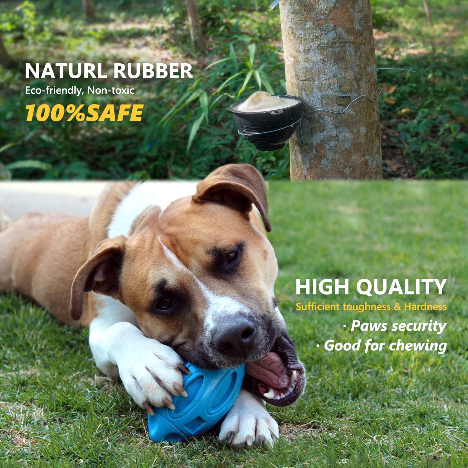 Tough Squeaky Dog Ball