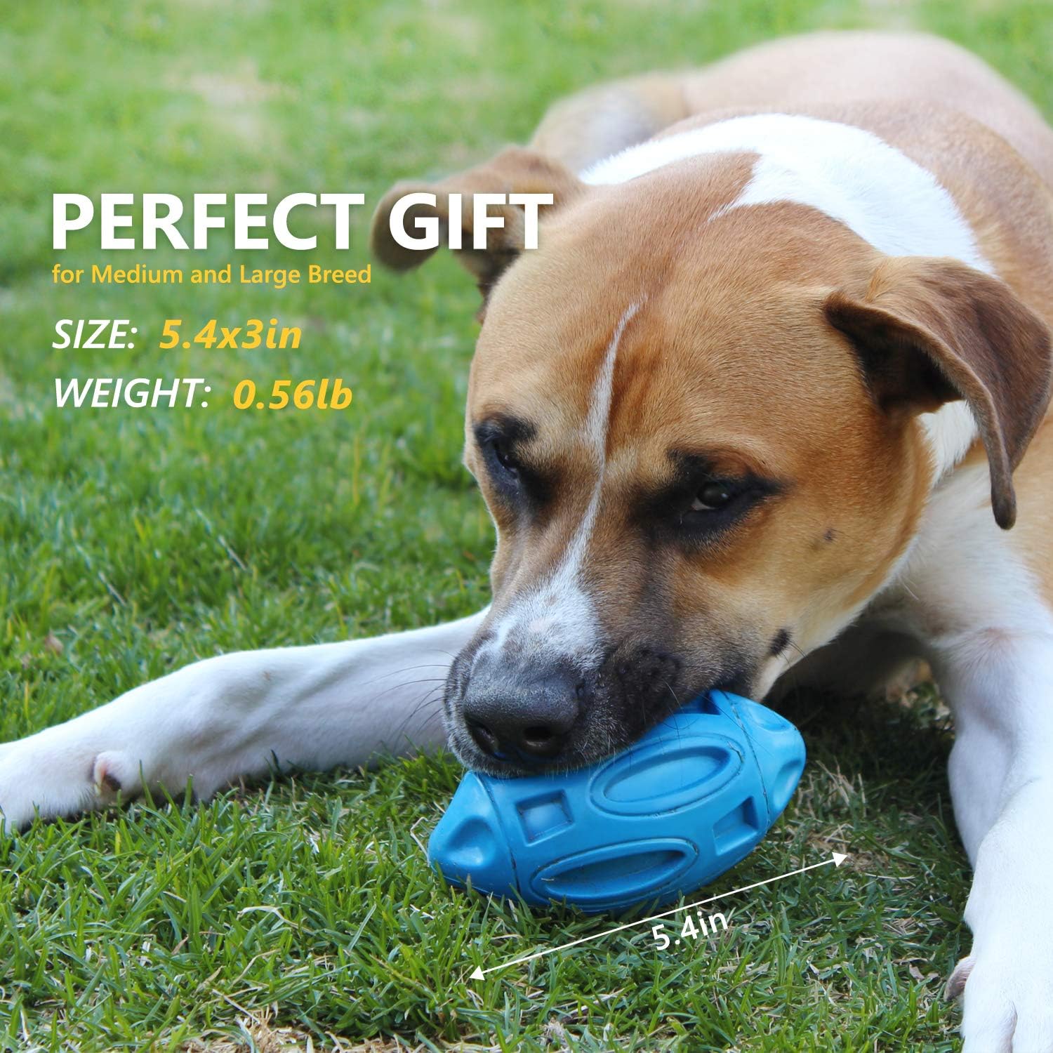 Tough Squeaky Dog Ball