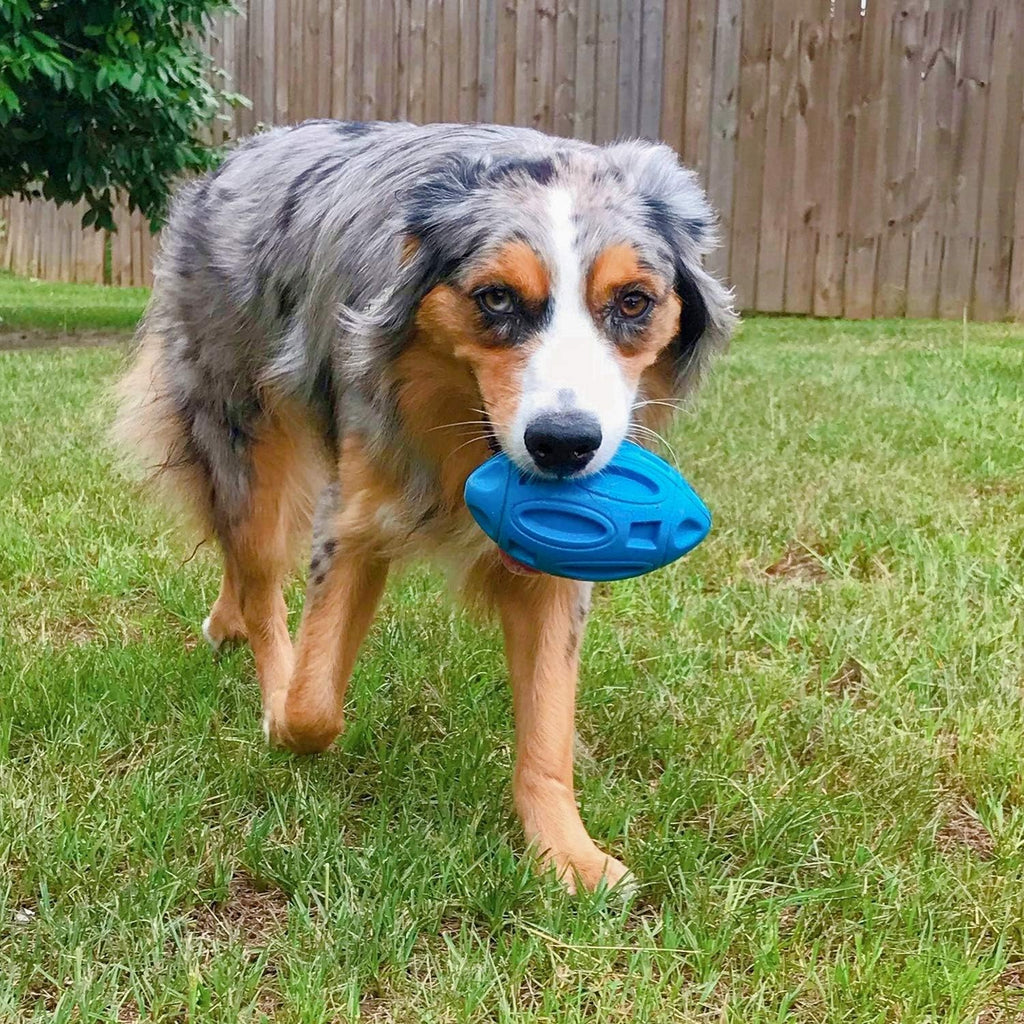 Tough Squeaky Dog Ball