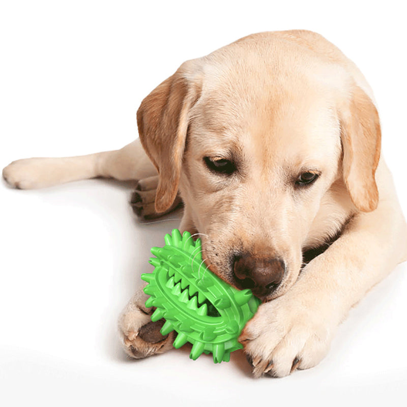 Dog Dental Chew Toy