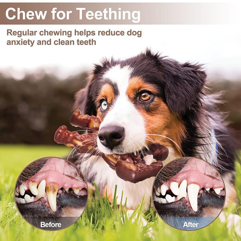 Nylon Beef Flavor Dog Chew Toy