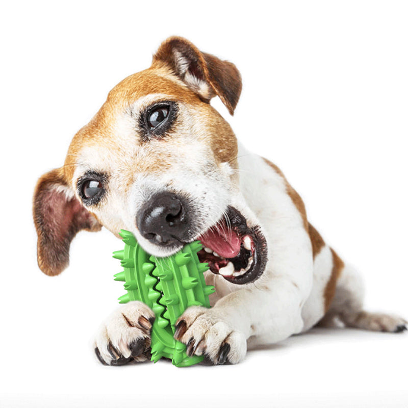 Dog Dental Chew Toy
