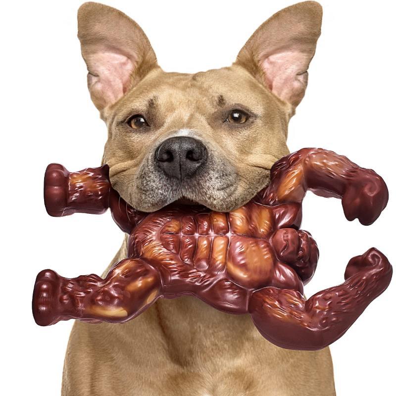 Nylon Beef Flavor Dog Chew Toy