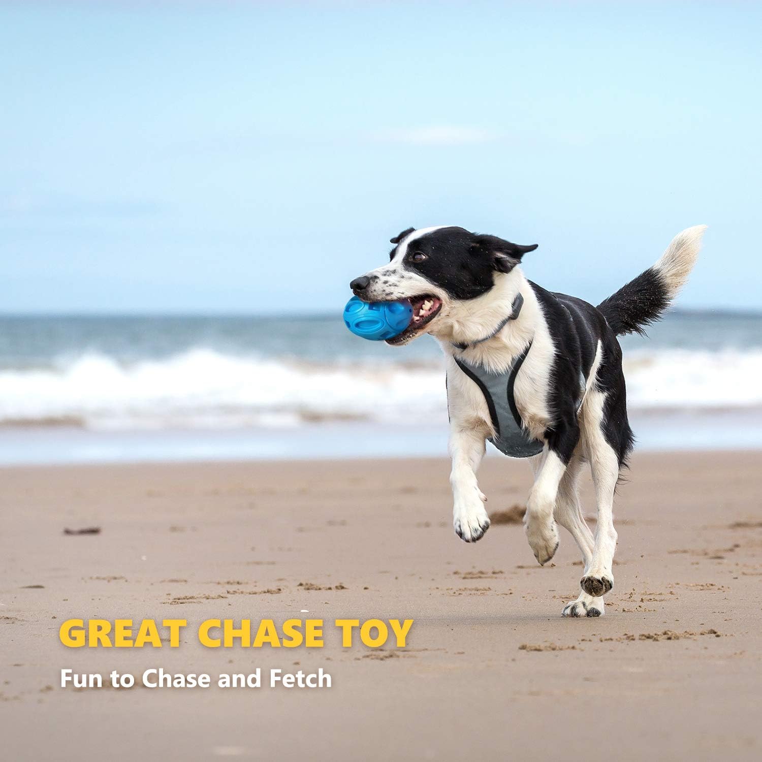 Tough Squeaky Dog Ball